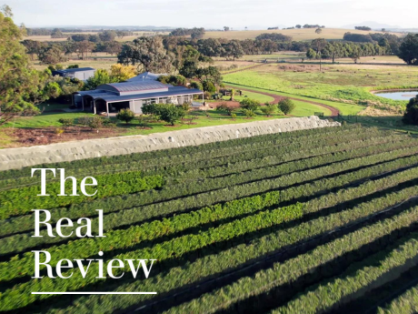 The Real Review | Duke's Vineyard Stellar New Releases