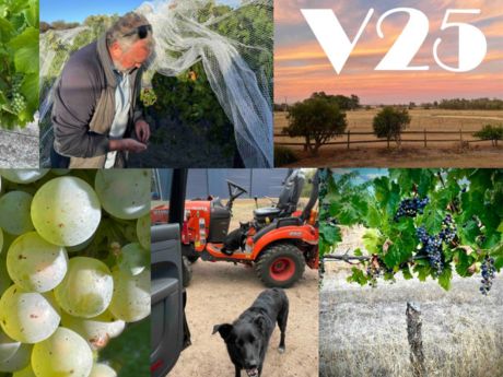 Ben Cane | V25 & Vineyard Notes